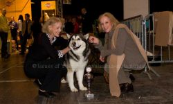 Alice und Ellen Kessler mit Multi CH. Issues of Yukon Liwanu