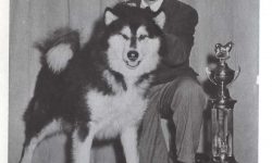 © Howell Book House INC. Apache-Chief-of-Husky-Pak-Rob-Zoller