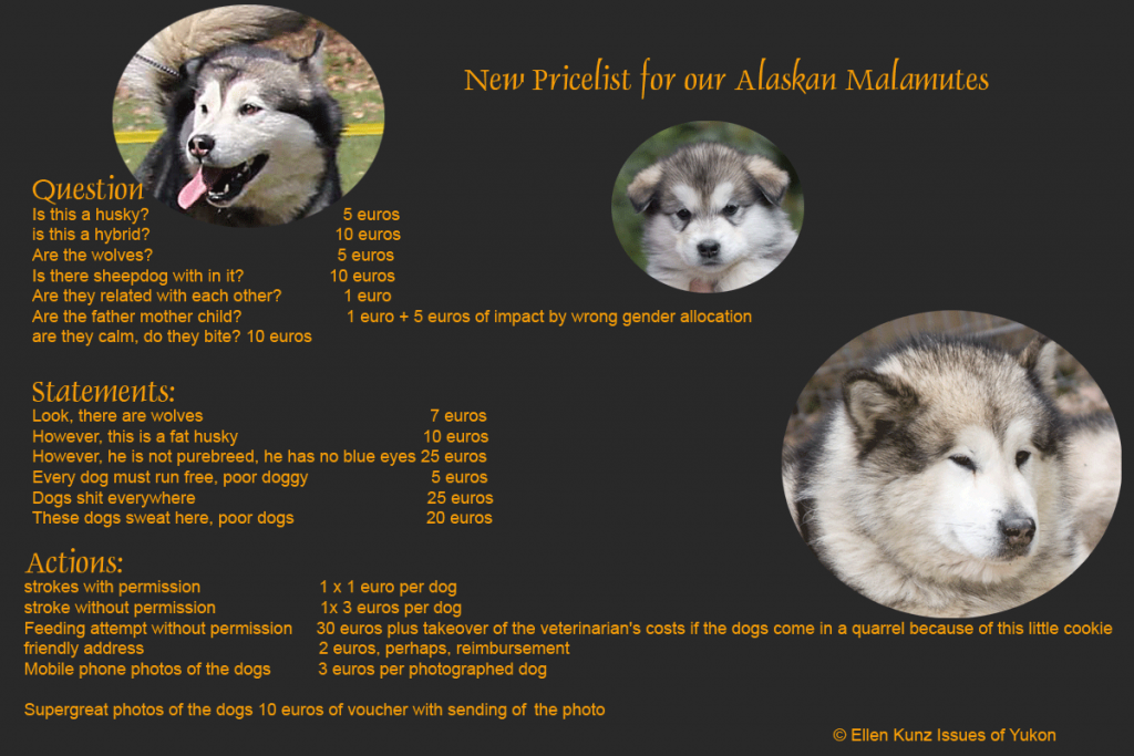Preis Alaskan Malamute Kennel Issues of Yukon