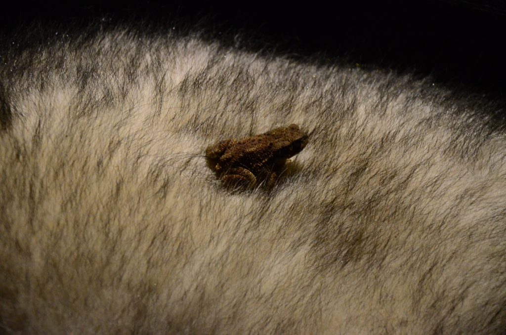 DSC_1127 DSC_1127