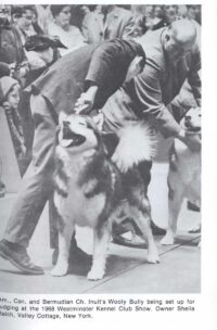 © TFH Publications IND LTD. Inuits-Wooly-Bully