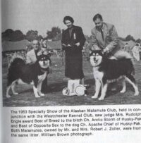 © TFH Publications IND LTD. Arctic-Storm-und-Apache-of-Husky-Pak