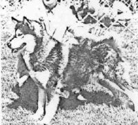 barb far marclars machook