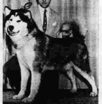 Cherokee of Husky Pak