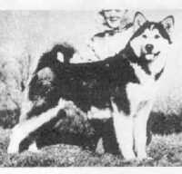 husky pak marclars sioux