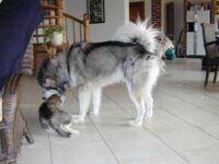 hier ist mein Zuhause...