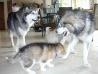 hier ist mein Zuhause...