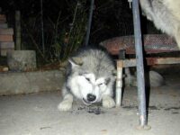 zuerst vorsichtiges warnen