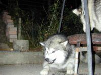 gleichtzeitig unsicher