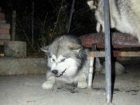 Unsicherheit ist groß