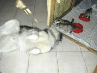 schau her, ich tu dir nichts