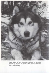 © Howell Book House INC. Kotzebue-Kanuck-of-Chinook