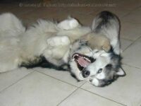 BJ mit Tochter Oralee