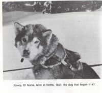 © Howell Book House INC. Rowdy-of-Nome