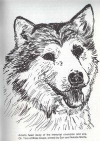 © Howell Book House INC. Toro of Bras-Coupe Zeichnung