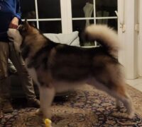 Issues of Yukon Nothing Else Matters Issues of Yukon Nothing Else Matters