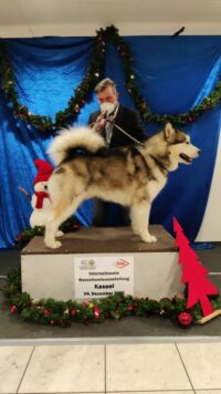 Issues of Yukon Nothing Else Matters Issues of Yukon Nothing Else Matters