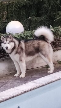 Issues of Yukon Nothing Else Matters Issues of Yukon Nothing Else Matters