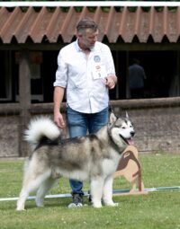 Conan-BOB-4juni2022 Conan-BOB-4juni2022