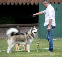 Conan-BOB-4juni2022 Conan-BOB-4juni2022