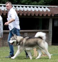 Conan-BOB-4juni2022 Conan-BOB-4juni2022