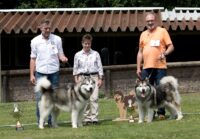 conan-brandy-bob-bos4juni2022