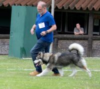 BOS CS IoY Never say Never Again BOS CS IoY Never say Never Again