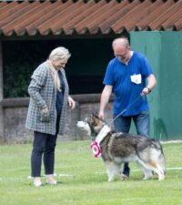 BOS CS IoY Never say Never Again BOS CS IoY Never say Never Again